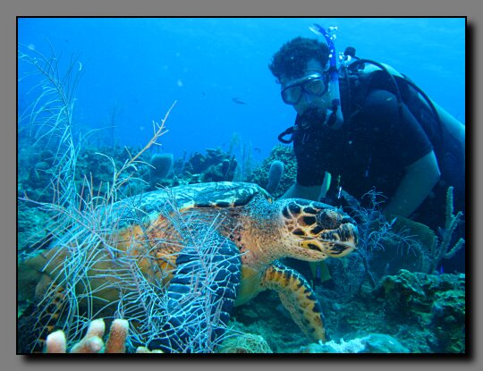 Justin and turtle